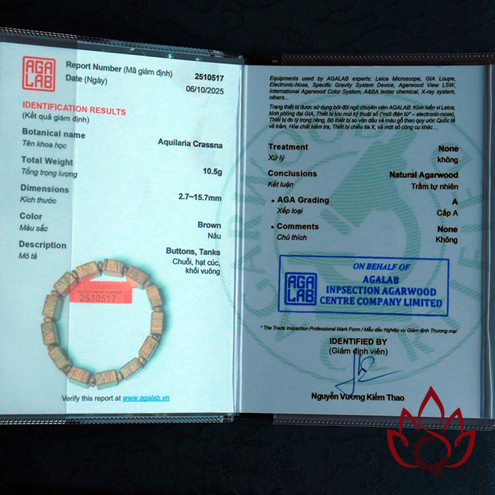 Vòng Trầm Hương Hạt Lách | Trầm Tốc Kiến Tự Nhiên Lâu Năm